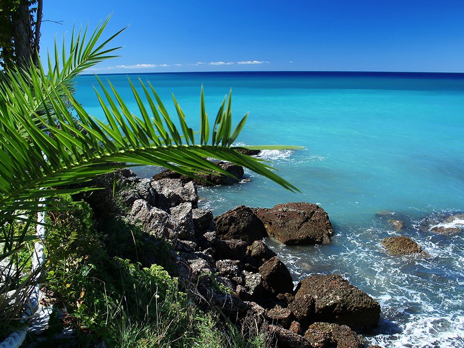 Organisateur événements Haute-Savoie 74
